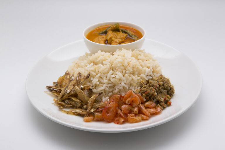 ข้าวมันแกงไก่_0