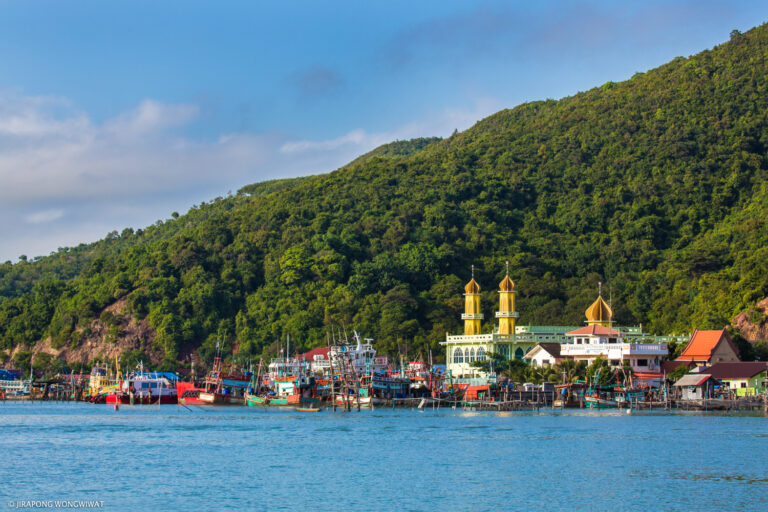 เขาแดงจิระพงษ์ วงศ์วิวัฒน์_0